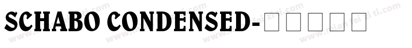 SCHABO CONDENSED字体转换